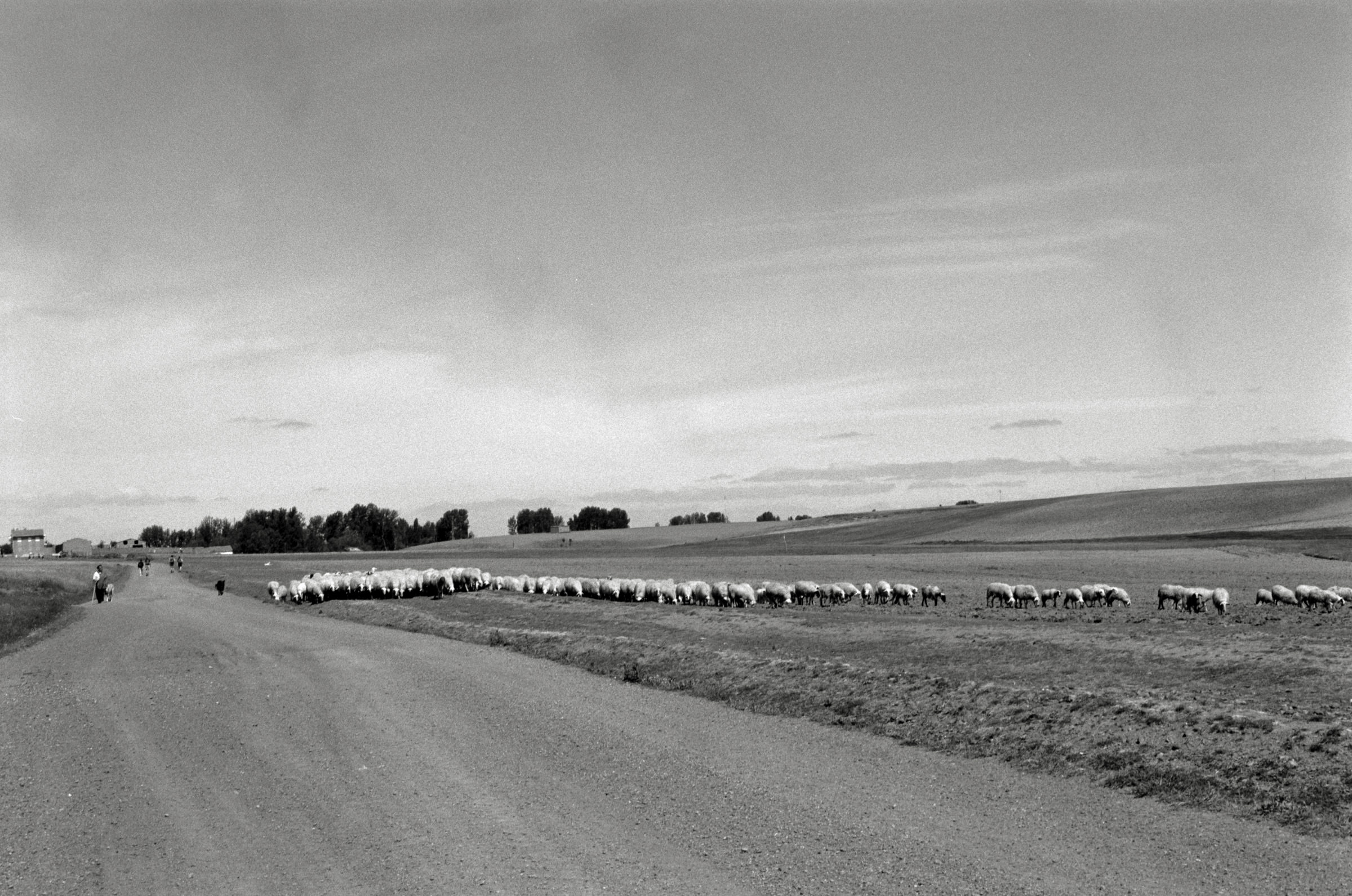 AHP F1995 05 009 sc240826 img16 NLP